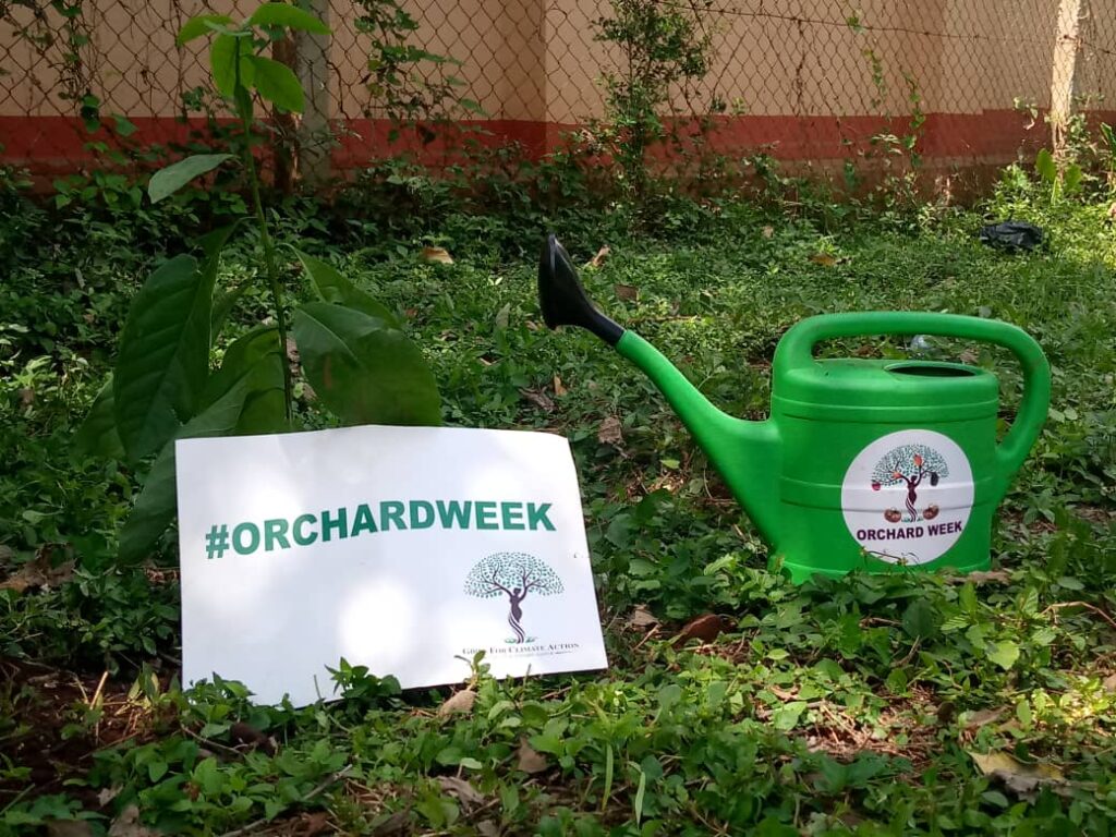 10,000 fruit tree seedlings to be planted during Orchard Week Campaign 2023