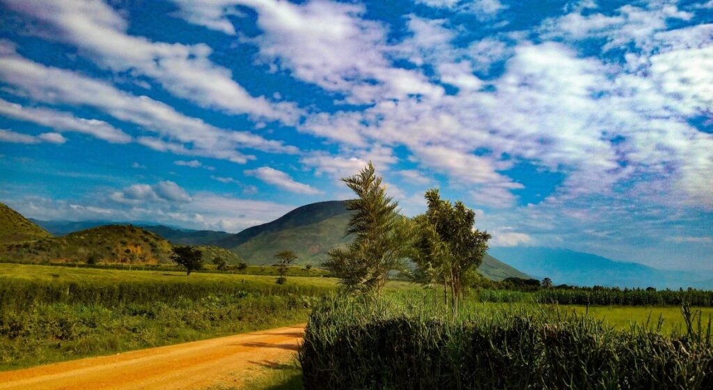 Customary land tenure patterns in Busoga