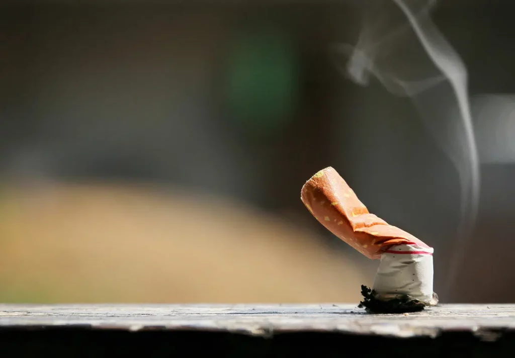 Tobacco farmers urged to take on food cultivation as Uganda celebrates World Tobacco Day