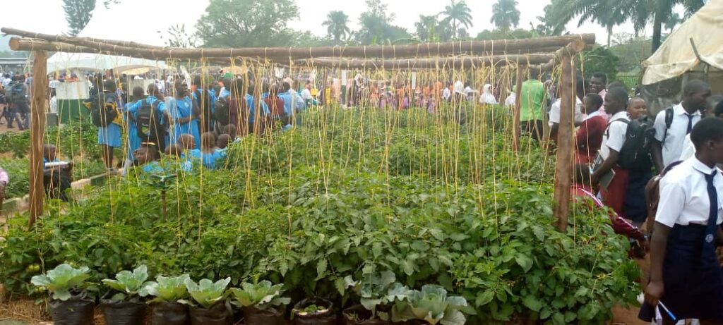 Innovative Agri-Preneur students shine at National Agriculture Education Show