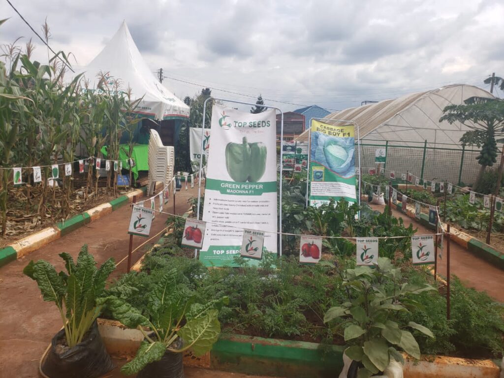 29th Agriculture Show kicks off: Driving Agro-industrialization and empowering farmers