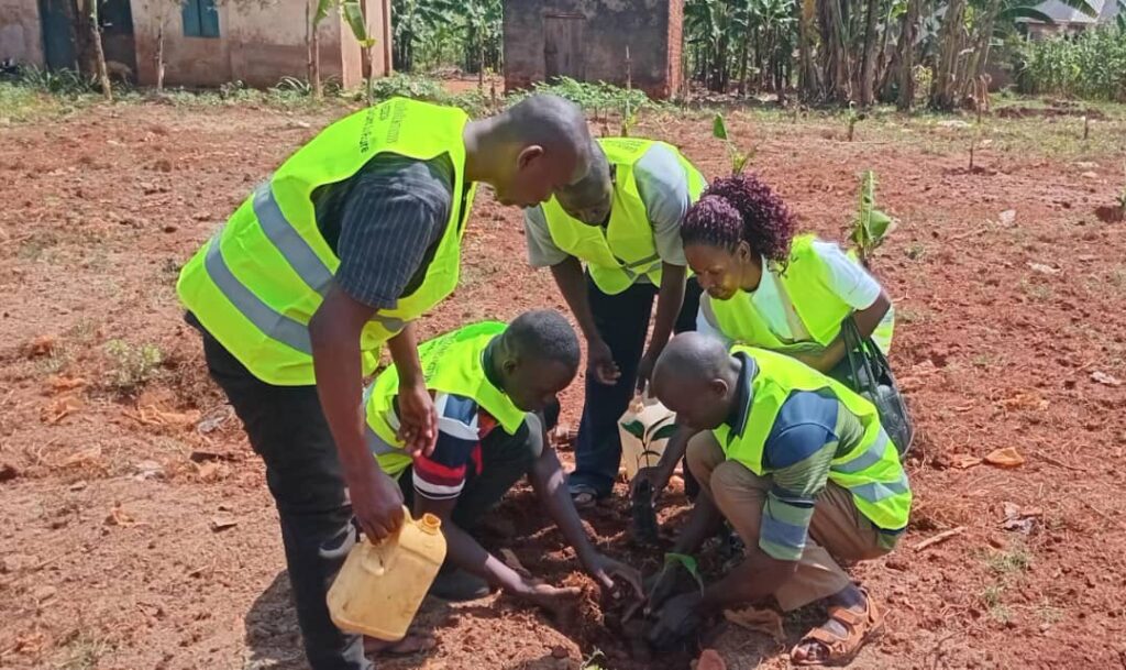 Jinja celebrates World Environment Day by planting 600 fruit trees